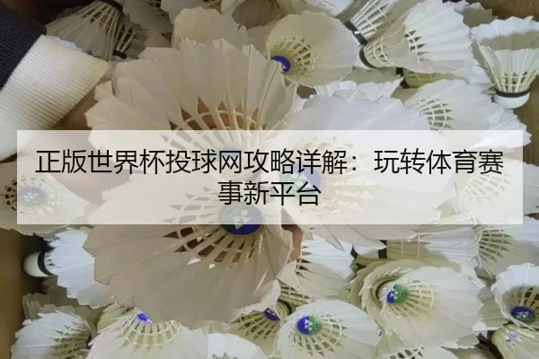 正版世界杯投球网攻略详解：玩转体育赛事新平台
