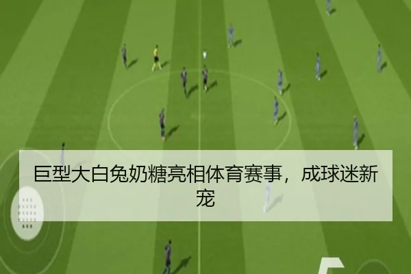 巨型大白兔奶糖亮相体育赛事，成球迷新宠